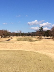 右サイドの林は危険地帯〜