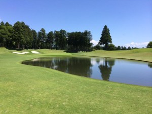 池を嫌がって左に外すとアプローチが難しい～