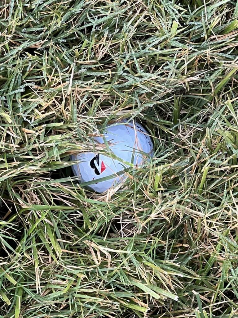 超私的な提案 ラフが深いコースでプレーするとドライバーの選び方が分かる!? マーク金井ブログ