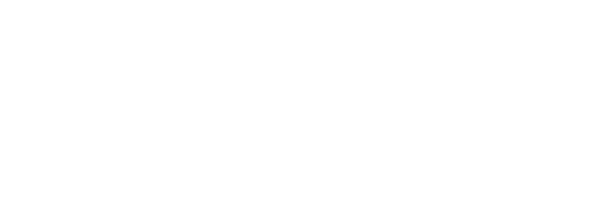 ポイント